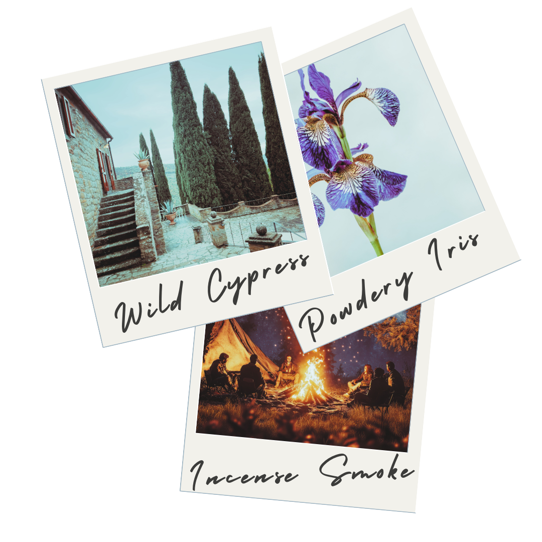 COASTAL VIBES TRIO Scented Body Butter