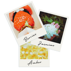 COASTAL VIBES TRIO Scented Body Butter