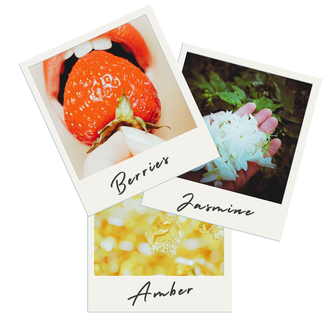 COASTAL VIBES TRIO Scented Body Butter