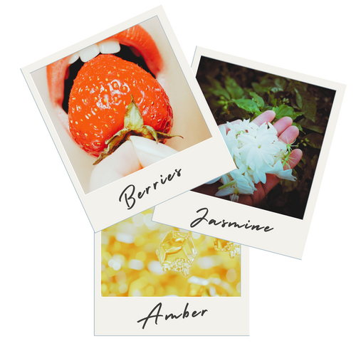 COASTAL VIBES TRIO Scented Body Butter