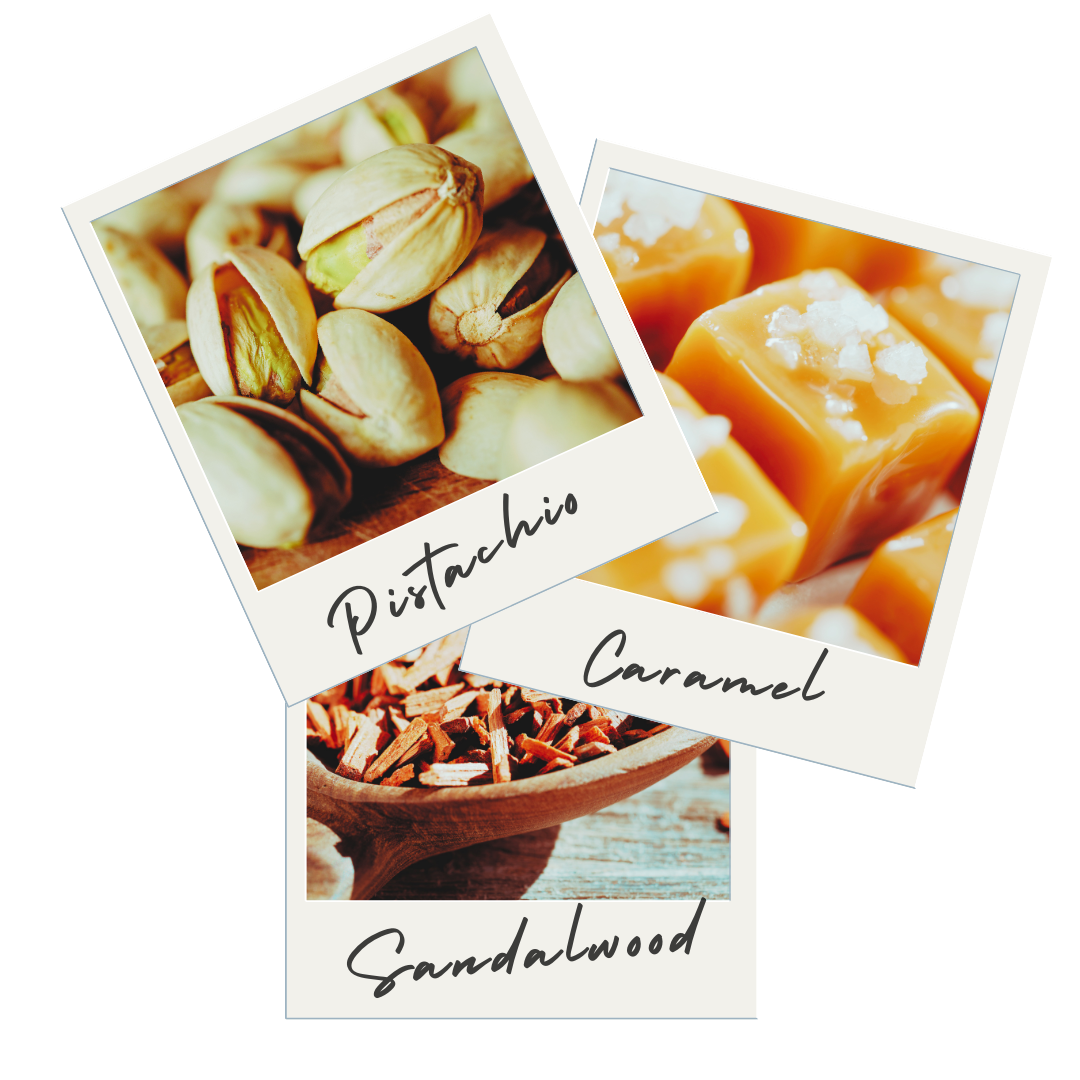 COASTAL VIBES TRIO Scented Body Butter