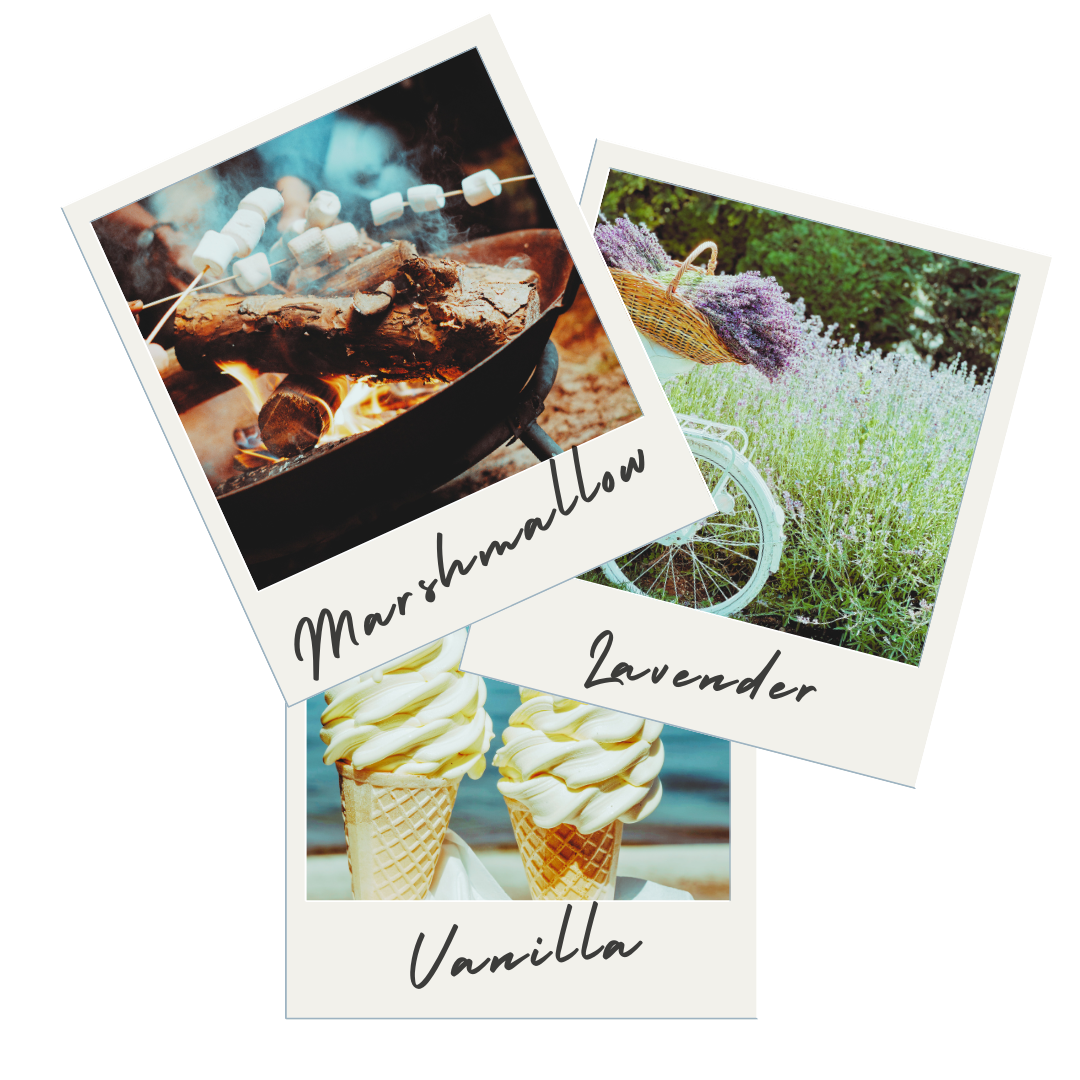 EVENING ESCAPE TRIO Scented Body Butter